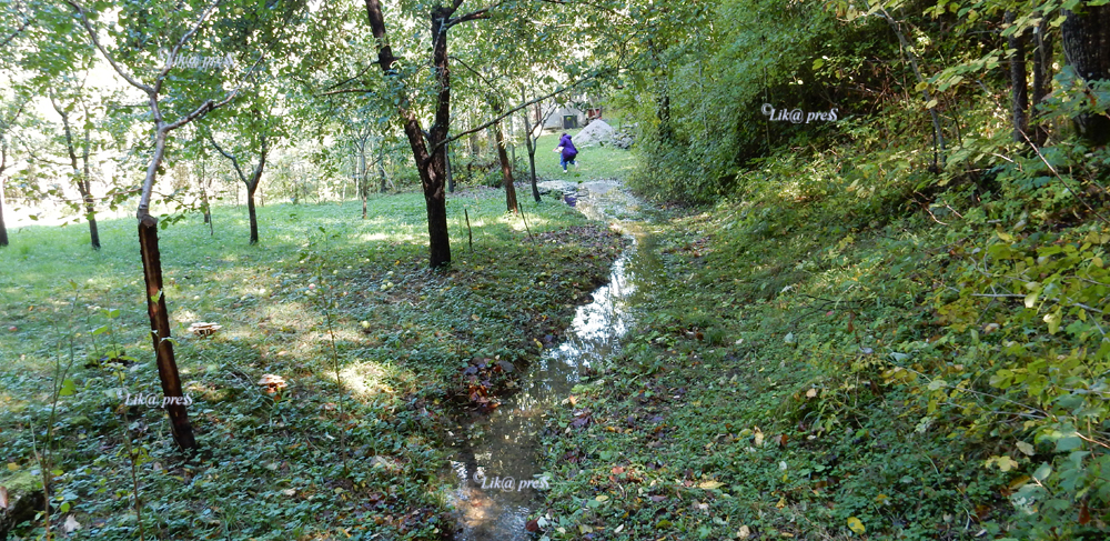 ričice