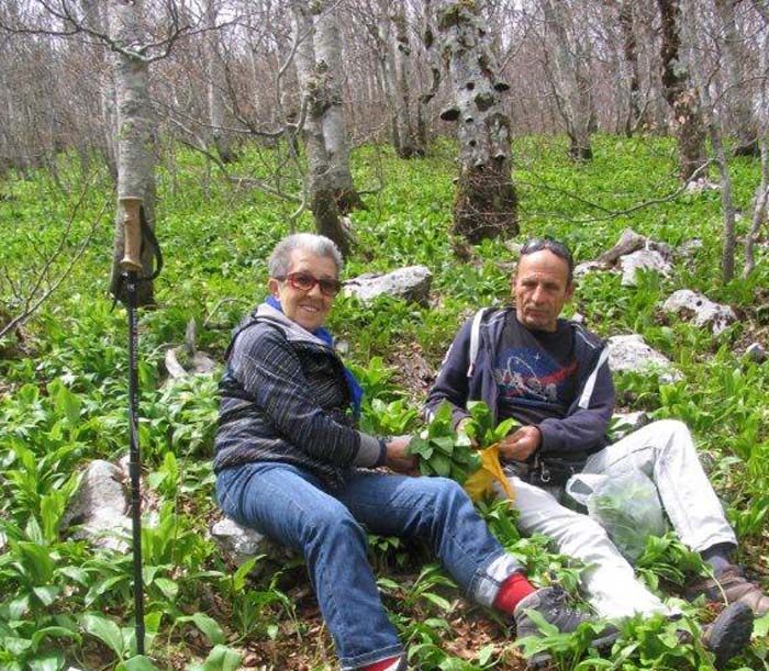velebit