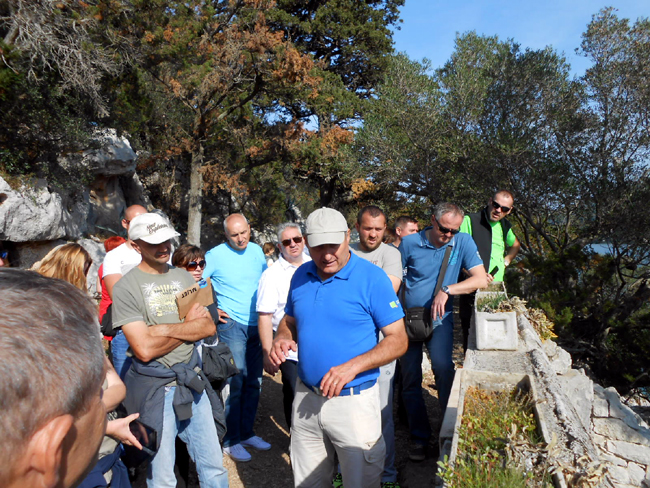 mljet