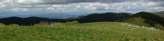 kalinovača