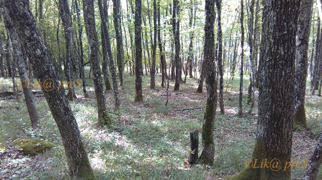 kompoljski vrh