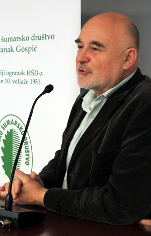 Vlainić