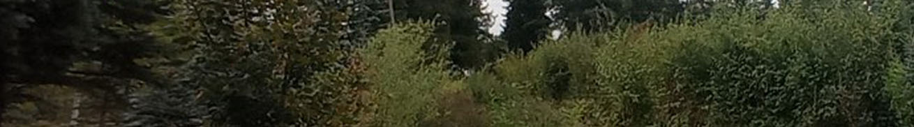 šumari
