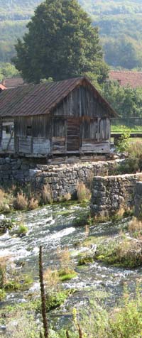 godača