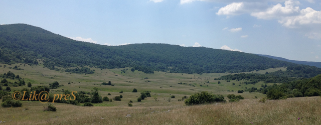 šumari