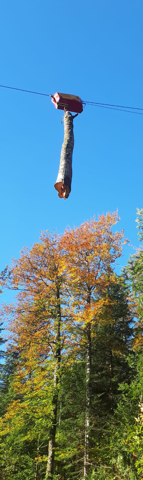 žičara
