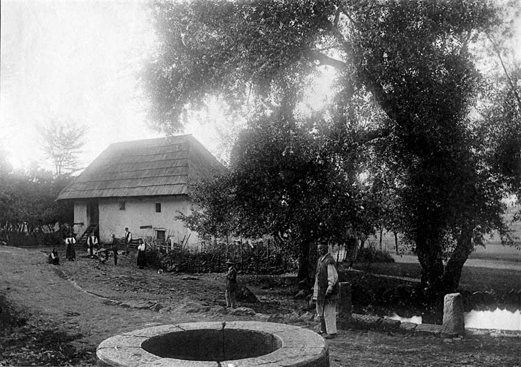 mesić