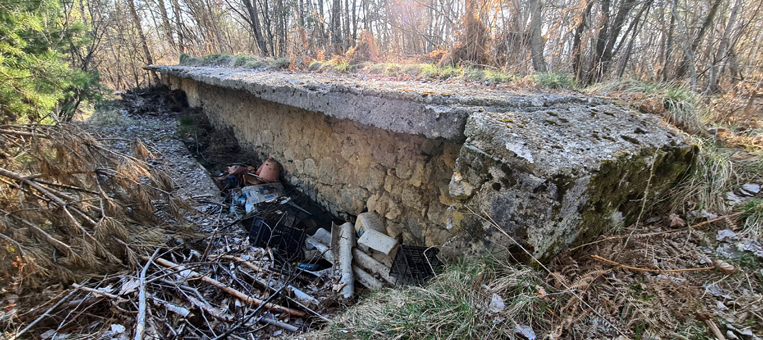 trnjak